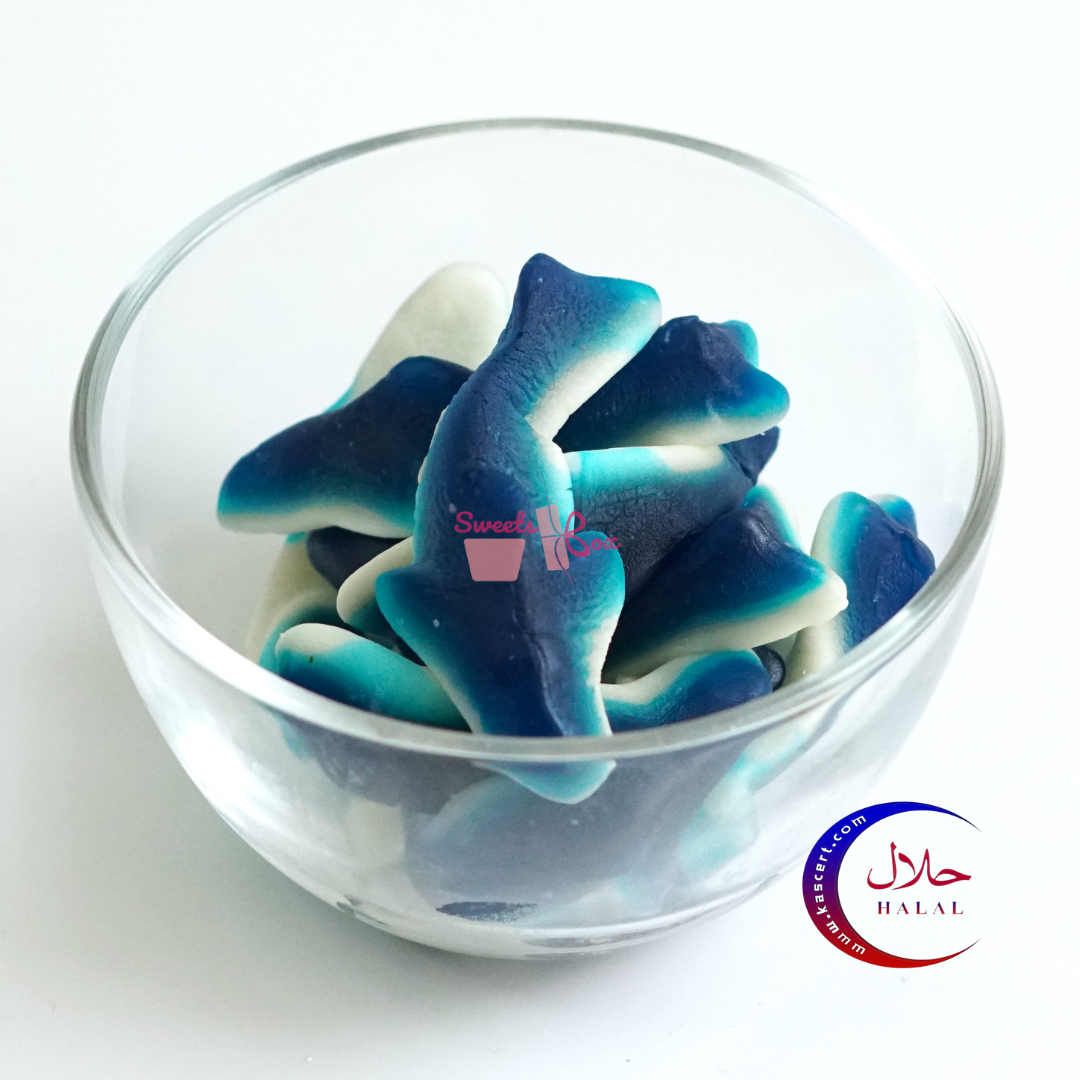 Blue Shark Blue Shark